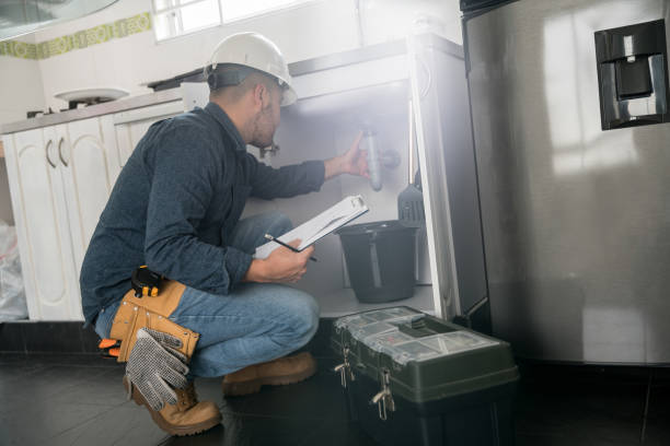  Pine Island, MN Plumbing Pros