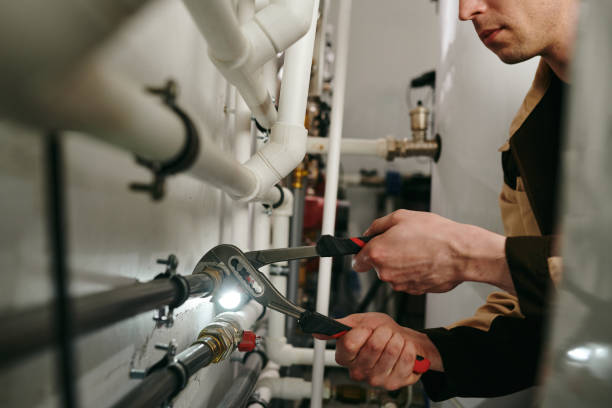 Best Drain Cleaning Services  in Pine Island, MN