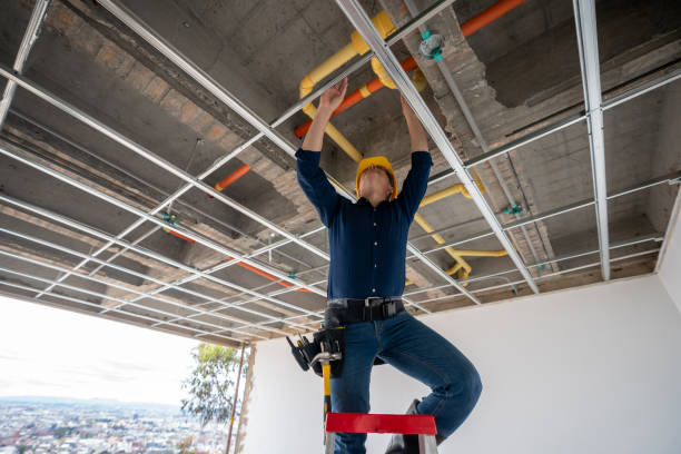 Best Residential Plumbing Services  in Pine Island, MN