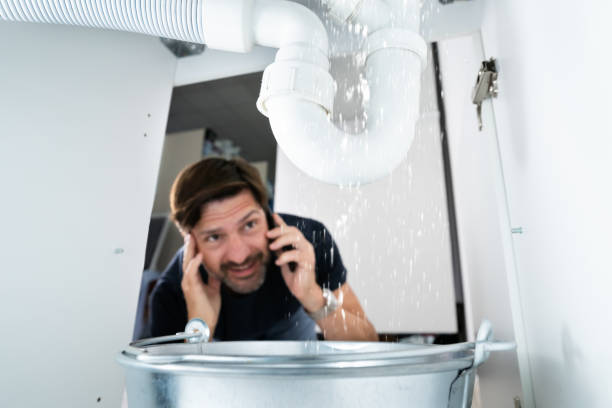 Best Same-Day Plumbing Service  in Pine Island, MN