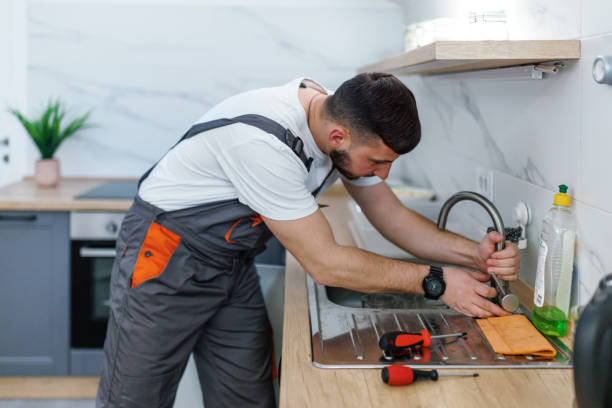 Best Plumbing Inspection Services  in Pine Island, MN