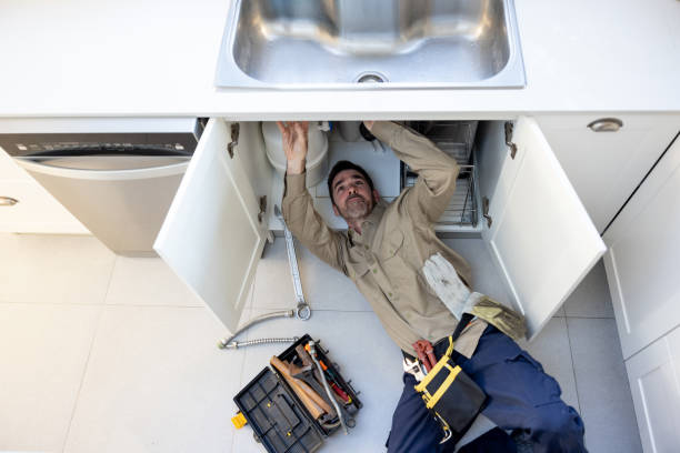 Best Shower Repair Services  in Pine Island, MN