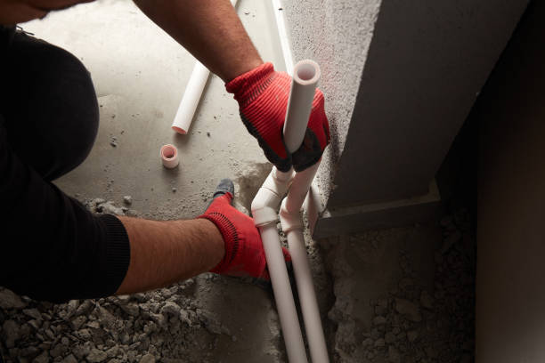  Pine Island, MN Plumbing Pros