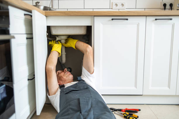 Best Water Heater Repair  in Pine Island, MN