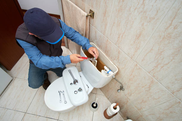Best Clogged Drain Plumber  in Pine Island, MN
