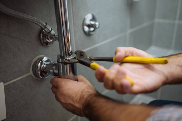 Best Plumbing Inspection Services  in Pine Island, MN