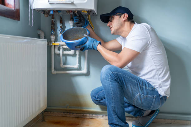 Best Clogged Drain Plumber  in Pine Island, MN