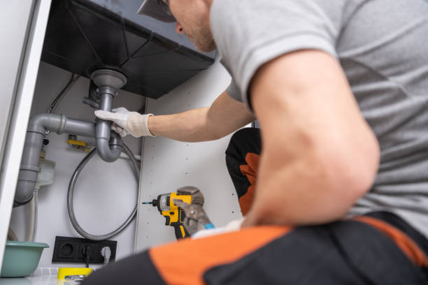 Best Septic Systems  in Pine Island, MN