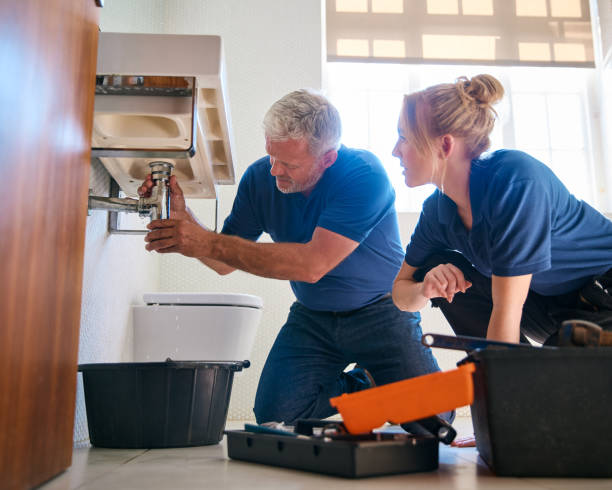 Best Sewer Line Repair  in Pine Island, MN